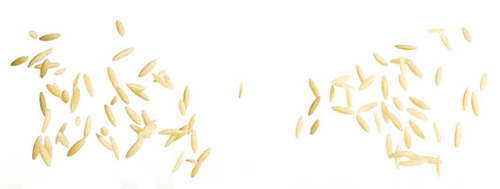 4392EB75-053A-480D-B0CC-FF8B089081C5 thumbnail