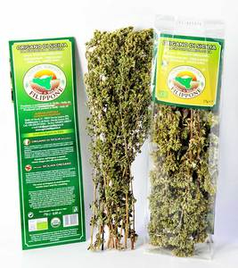 FILLIPPONE-OREGANO