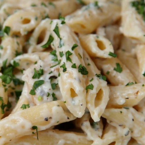 Pasta of the Day - Chicken Alfredo -2kg Product Image