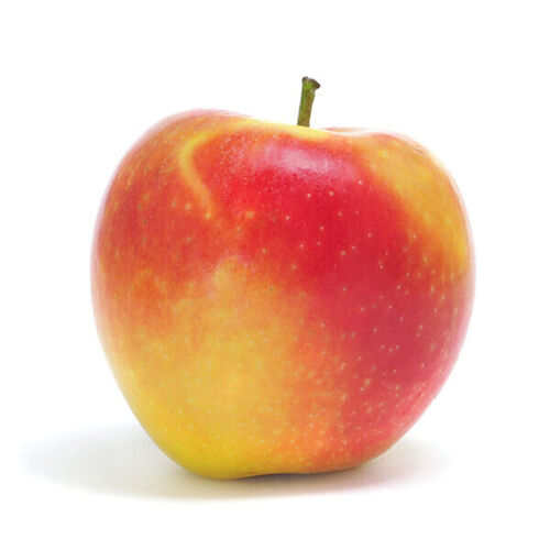 Apples - Ambrosia product photo