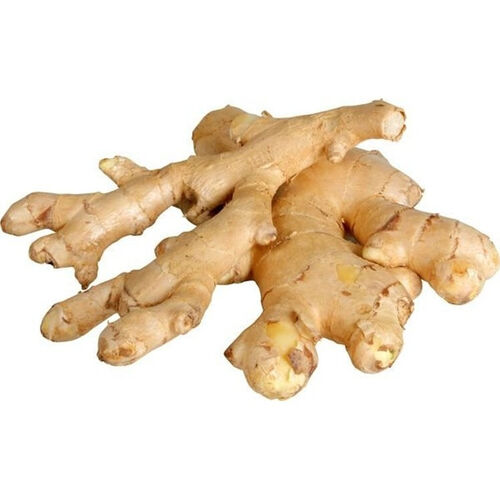 Produce_Ginger thumbnail