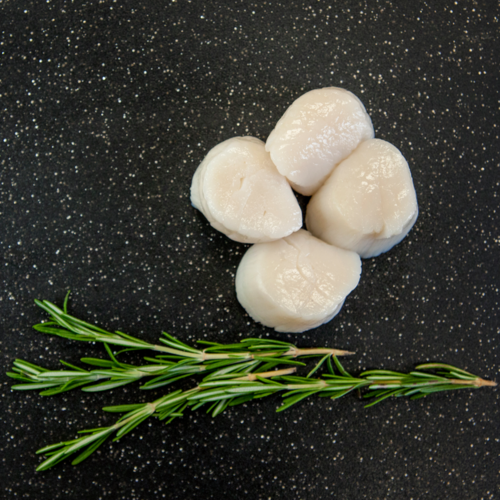 SEAFOOD Sea Scallops1 thumbnail