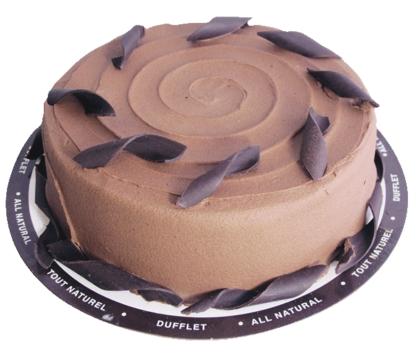 Double Decker Chocolate Fudge Cake