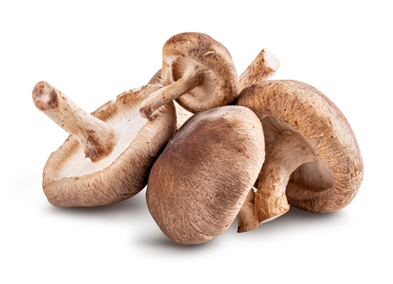 Produce_Mushroom_Shiitake