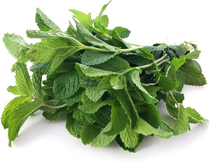 Produce_Mint