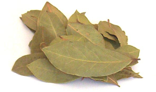 Produce - herbs - Bay Leaves thumbnail