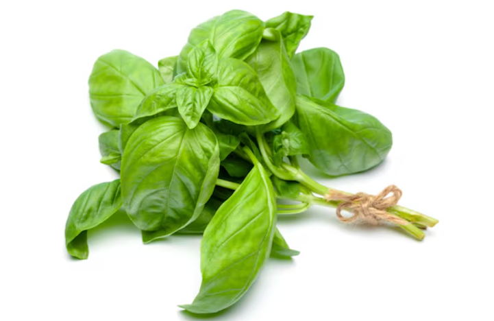 Produce_Basil