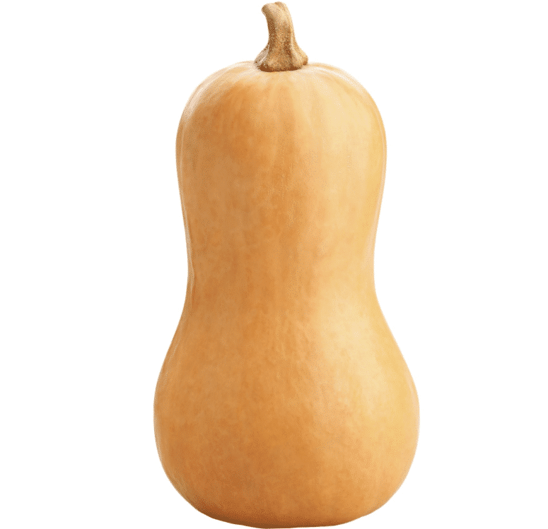 Produce_Butternut_Squash