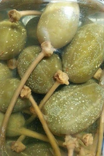 PIckled_Agostino Recca Bache di capperi  INSIDE thumbnail