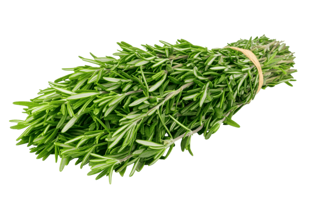 Produce_Rosemary
