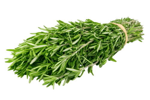 Produce_Rosemary thumbnail