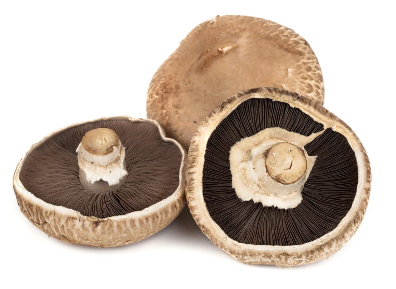 Produce_Mushroom_Portobello