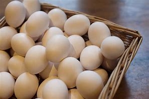 egggs