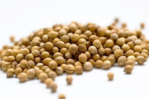 Spices - Whole Coriander thumbnail