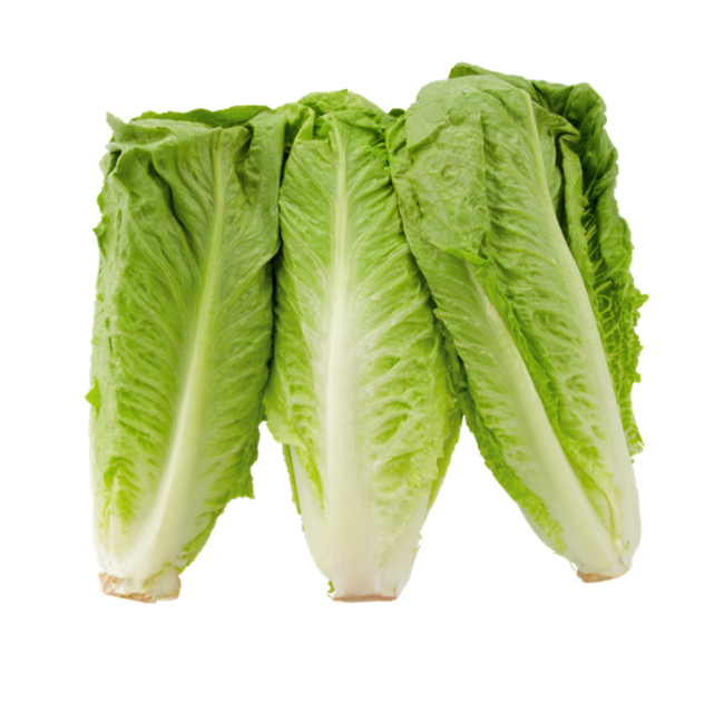 Produce_Romaine_Hearts