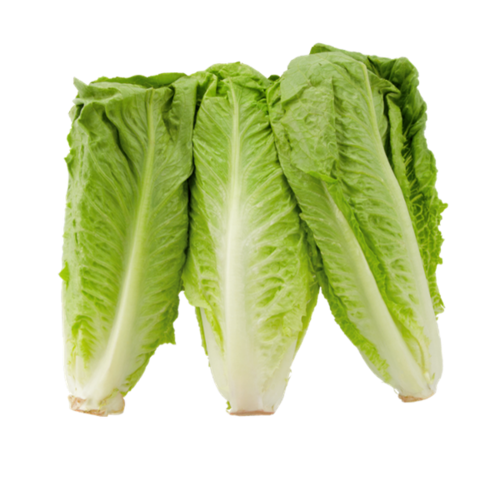 Produce_Romaine_Hearts thumbnail