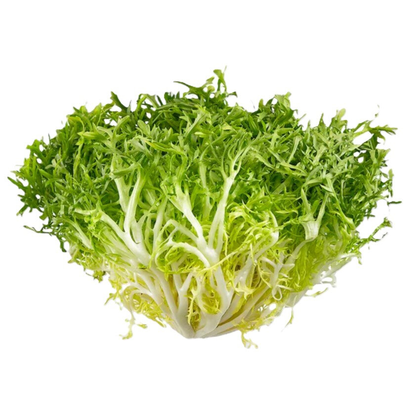 Produce_Lettuce_Frisee