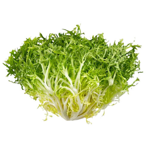 Produce_Lettuce_Frisee thumbnail