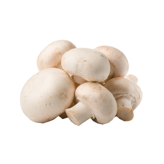 Produce_Mushrooms_White thumbnail