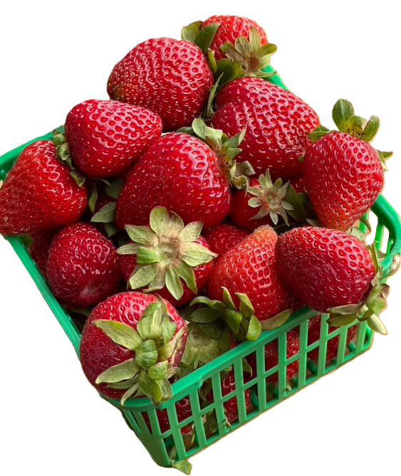 Produce_Strawberries_Ontario