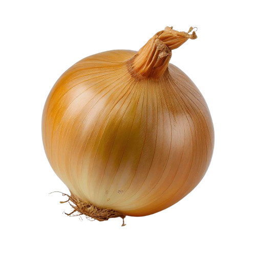 Produce_Onion_Spanish thumbnail