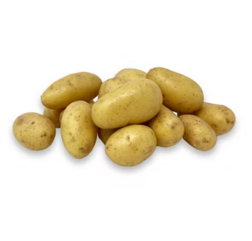 Produce_Potato_White_Mini thumbnail
